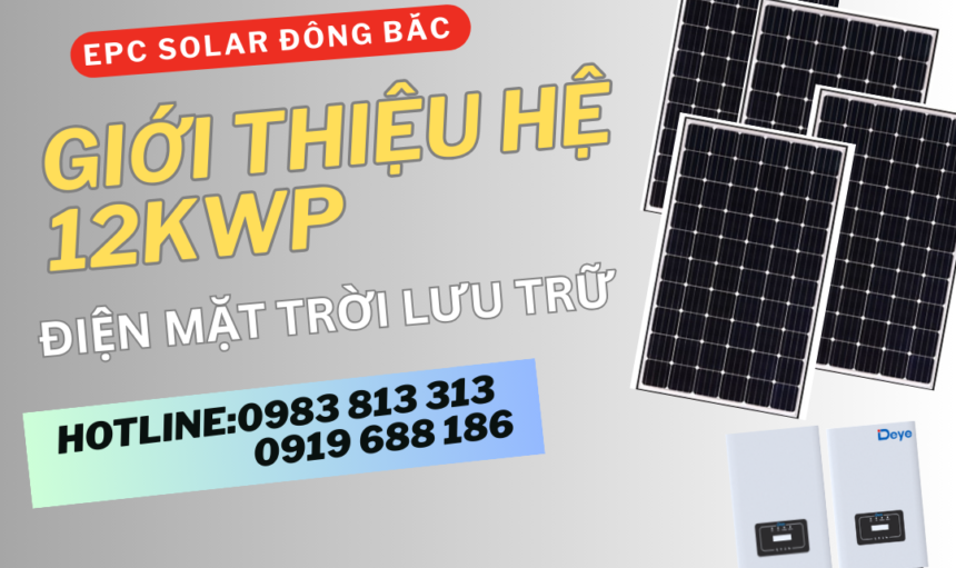 hẹ-12kwp-tai-quang-ninh